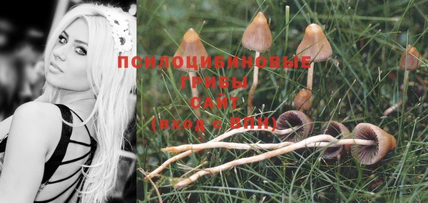 стафф Белокуриха
