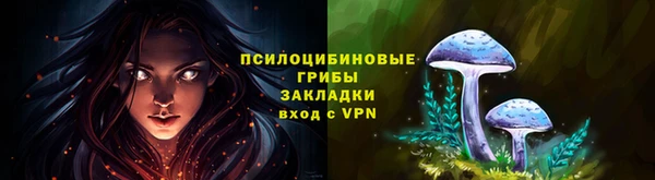 стафф Белокуриха