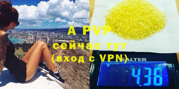 PSILOCYBIN Беломорск
