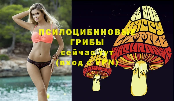 PSILOCYBIN Беломорск