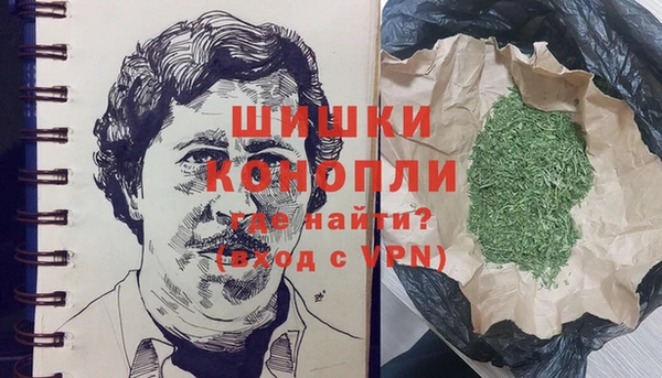 PSILOCYBIN Беломорск